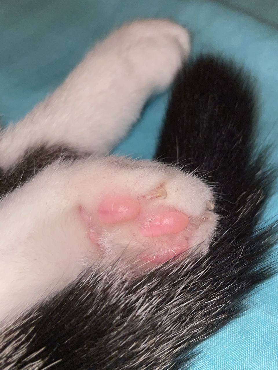 🌸💖