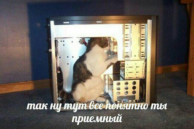 так ну ты приемный