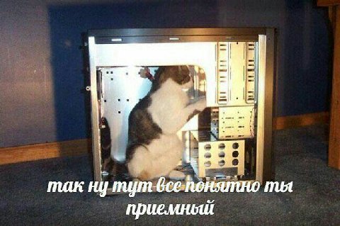 так ну ты приемный