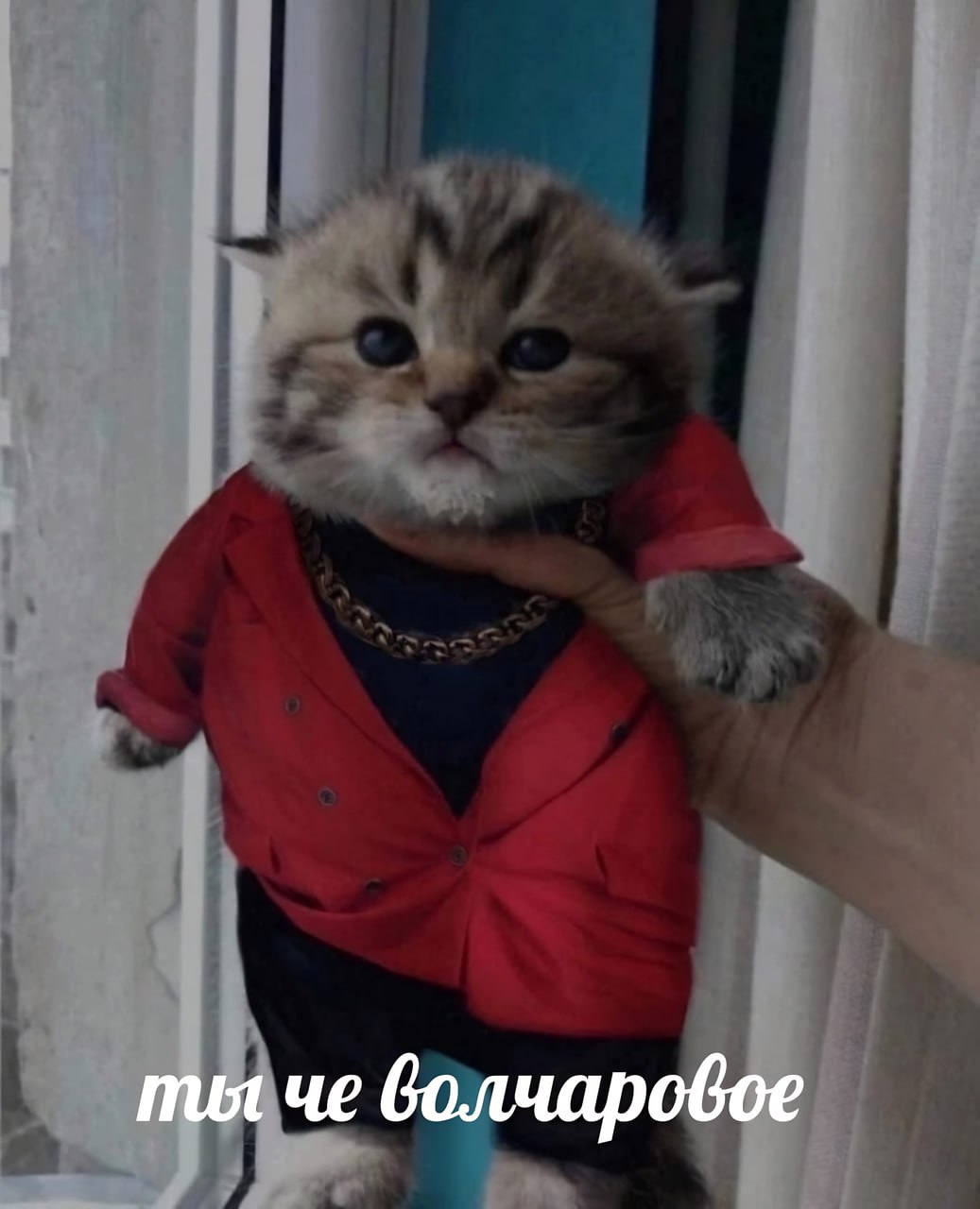 че волчаровое