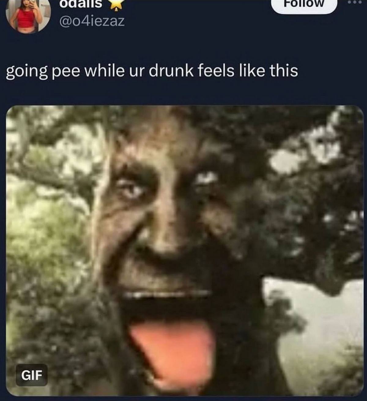 going pee while drunk feels like this GIF