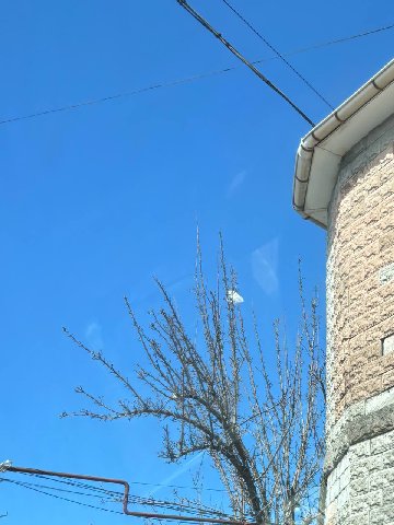 11 градусов
ссыкливо вайбим — дожди только утром прошли, а на душе ссыкливо 

но это мы еще не завтракали