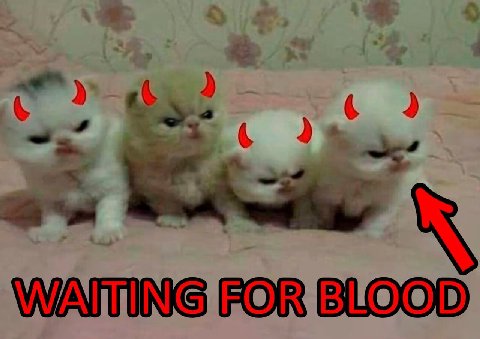 2 WATTING FOR BLOOD