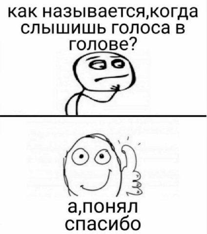 как называется,когда слышишь голоса в голове? ОГО. спасибо