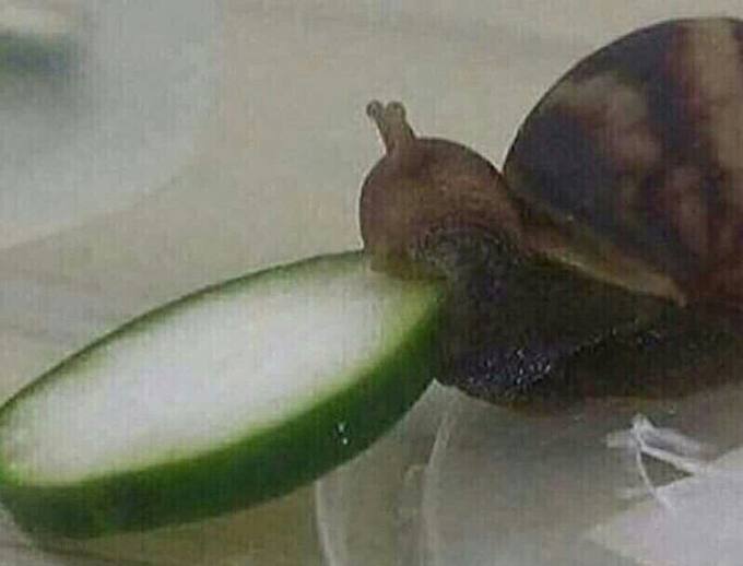 че i