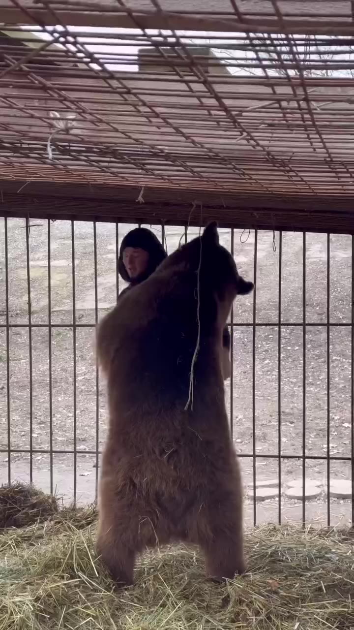 SS ИИ SS) ссченню: