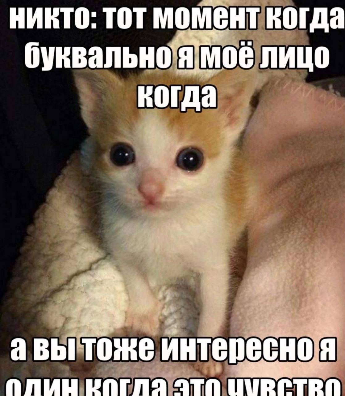 никто: тот момент когда буквально лицо когда авы тоже интересноя ПЛИНЦ POTAS ATA
