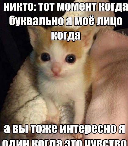 никто: тот момент когда буквально лицо когда авы тоже интересноя ПЛИНЦ POTAS ATA