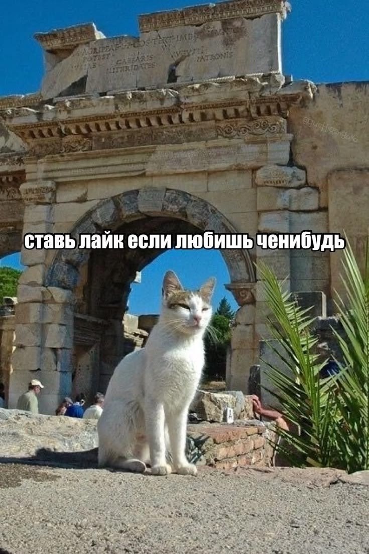 ставь лайк если любишь ченибудь. A