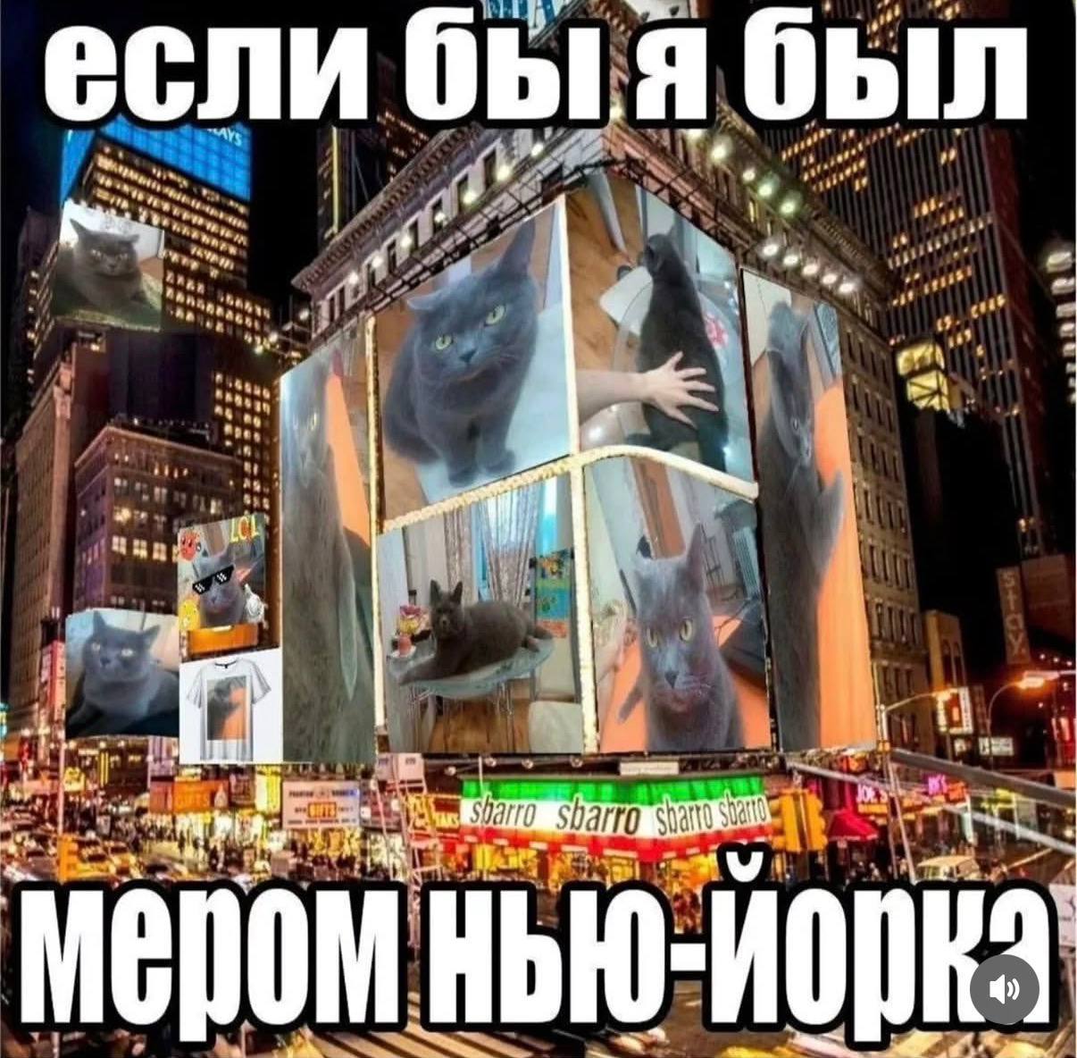 б если быя был 4 i