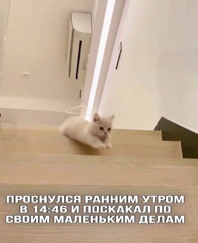 14 Paid ПРОСНУЛСЯ РАННИМ УТРОМ В 14:46 И ПОСКАКАЛ ПО СВОИМ МАЛЕНЬКИМ ДЕЛАМ