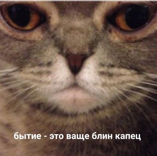 бытие это ваще блин капец