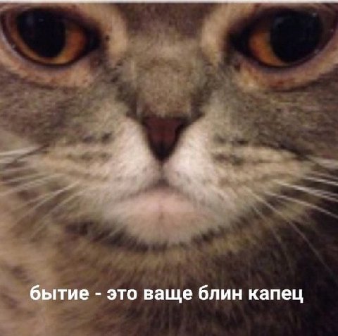 бытие это ваще блин капец