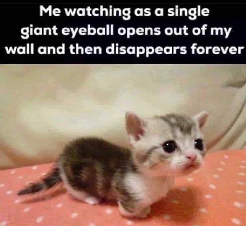 Me watching as a single giant eyeball opens out of my wall and then disappears forever