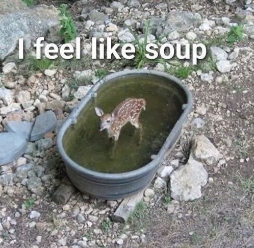SOUP К 4 be