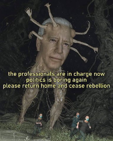 the professionals are in charge now politics is boring again please return home and cease rebellion