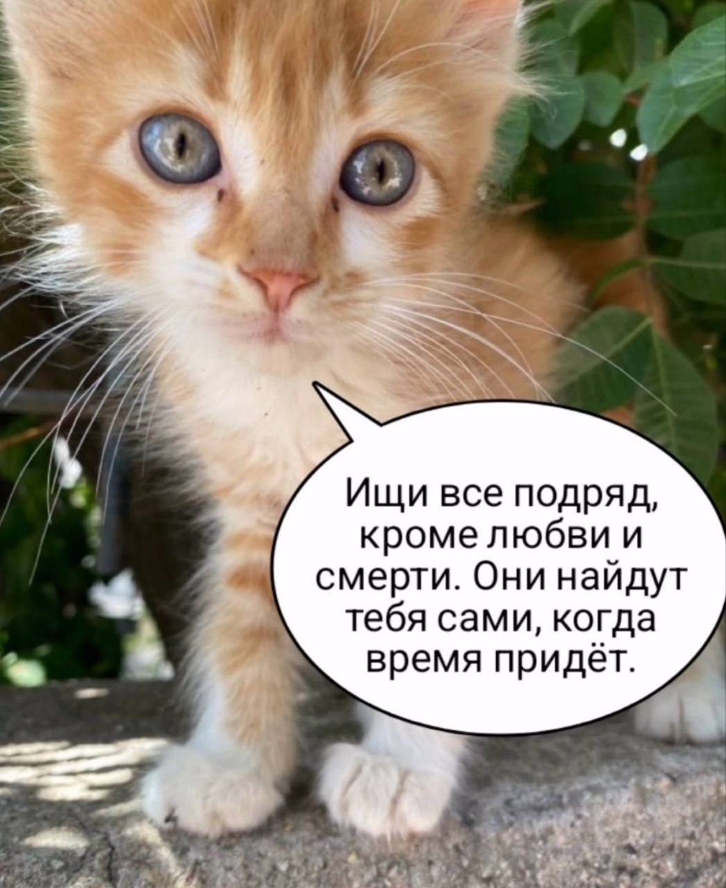 Ищи все подряд, кроме любви и смерти. Они найдут тебя сами, когда время придёт.
