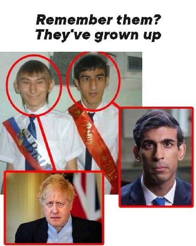 Remember them? grown up out