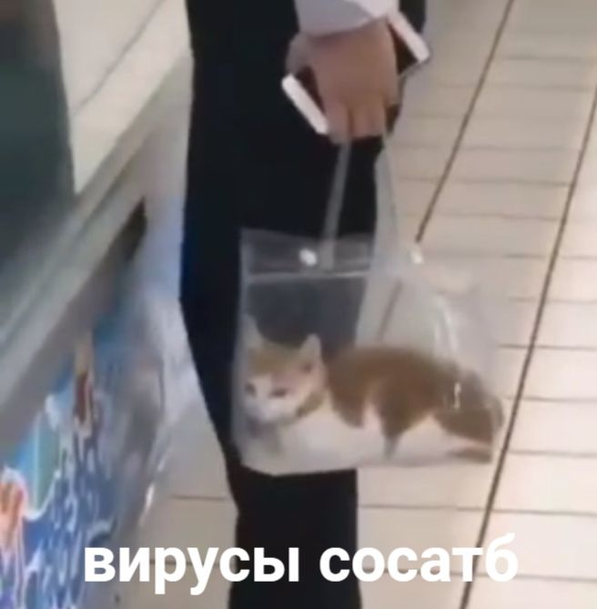 4 вирусы