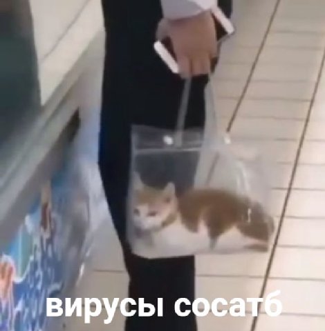4 вирусы