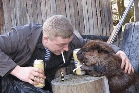 1 4 в, 5 LaF 8 we We 4 и 4 у о AS 4 1 4 a