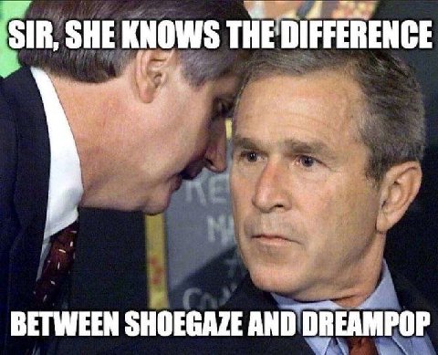 ‘SIR, SHE KNOWS THE DIFFERENCE BETWEEN SHOEGAZE AND DREAMPOP