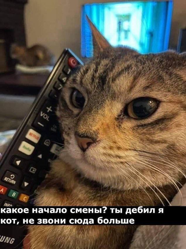 какое начало смены? ты дебил я кот, не звони сюда больше