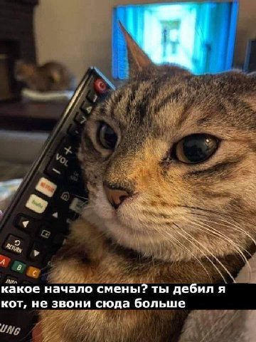 какое начало смены? ты дебил я кот, не звони сюда больше