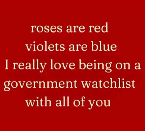roses are red violets are blue really love being ona government watchlist with all of you