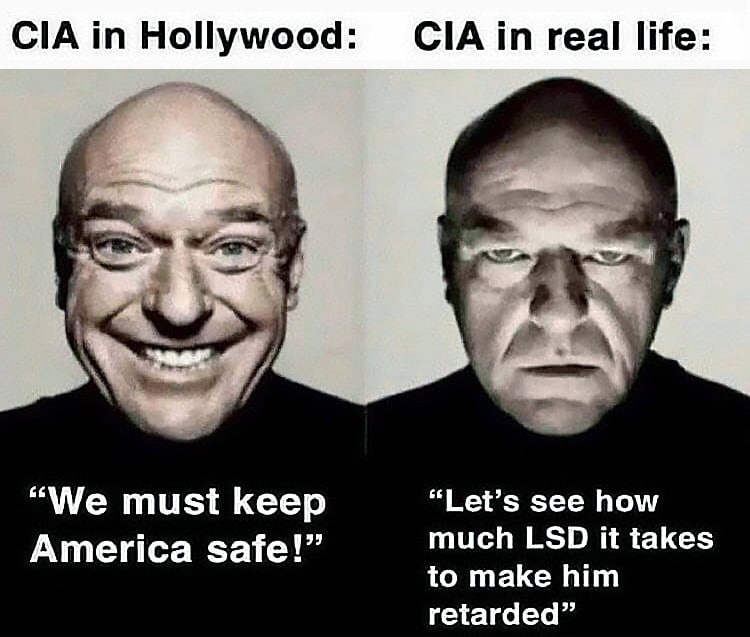 Hollywood: ClAin real life: “We must keep “Let’s see how America safe!” much LSD it takes to make him retarded”