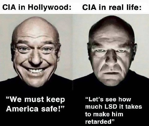 Hollywood: ClAin real life: “We must keep “Let’s see how America safe!” much LSD it takes to make him retarded”