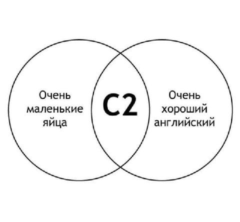 Очень Очень маленькие хороший яйца английский