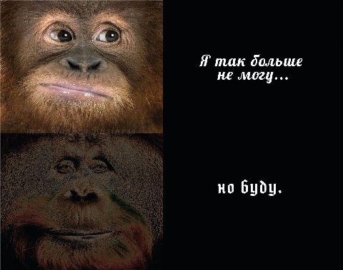 Я так больше не могу... но