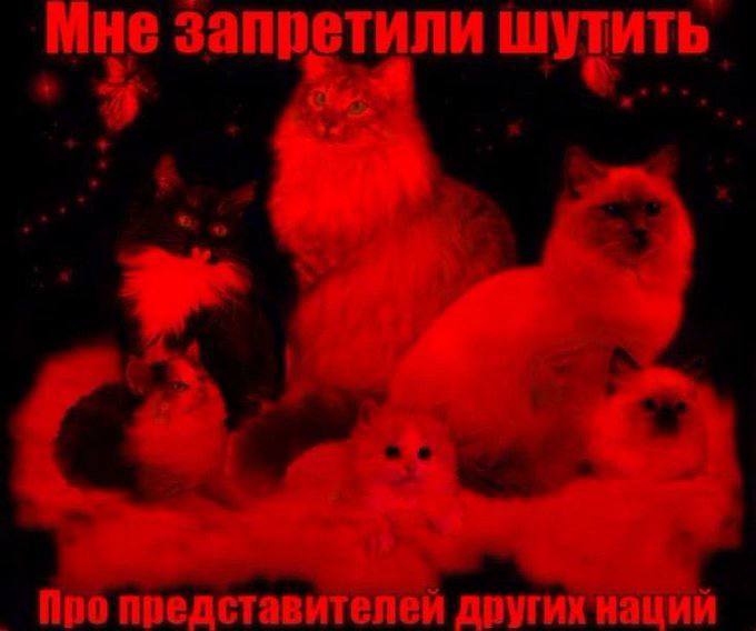 Мне запретили шутить Про представителей других нации