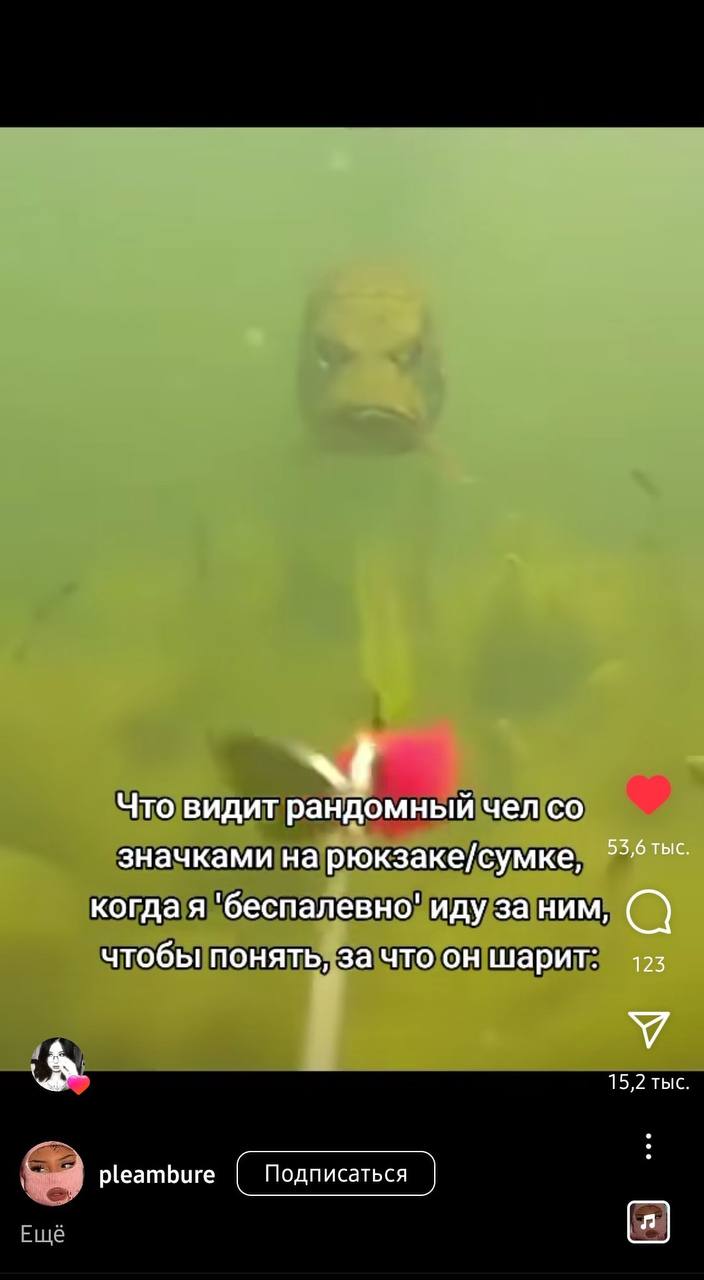 Что видит рандомный чел значками на рюкзаке/сумке, когда я 'беспалевно' иду за ним, 123 чтобы понять, за что он шарит: У 15,2 тыс 3 pleambure Подписаться