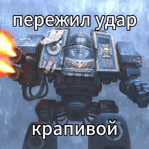 пережил уда крапивой