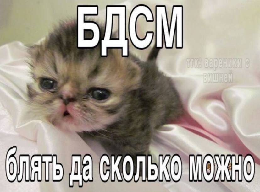 БДСМ Да
