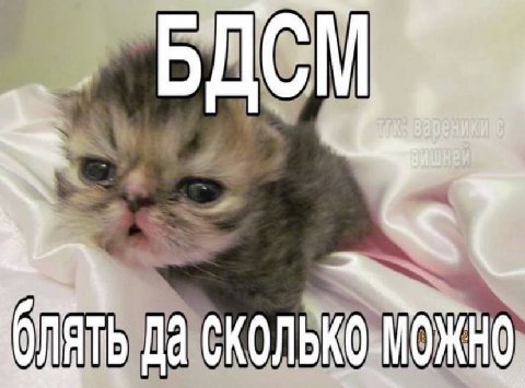 БДСМ Да