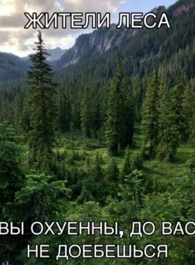 ЖИТЕЛИ ЛЕСА ВЫ ОХУЕННЫ, ДО ВАС НЕ ДОЕБЕШЬСЯ