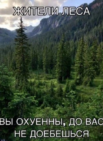 ЖИТЕЛИ ЛЕСА ВЫ ОХУЕННЫ, ДО ВАС НЕ ДОЕБЕШЬСЯ