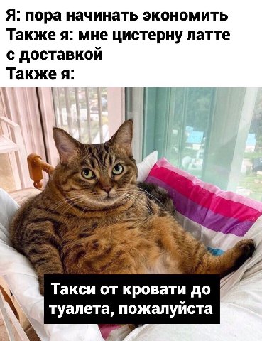 Я: пора начинать экономить Также я: мне цистерну латте с доставкой 3 Такси от кровати до туалета, пожалуйста