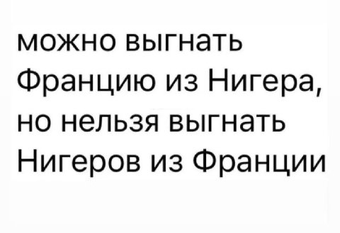 можно выгнать Францию из Нигера, но нельзя выгнать Нигеров из Франции
