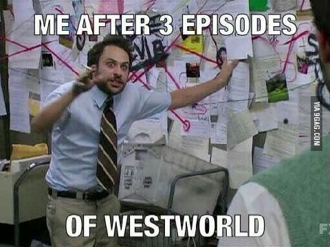 ME AFTER 3 EPISODES OF WESTWORLD