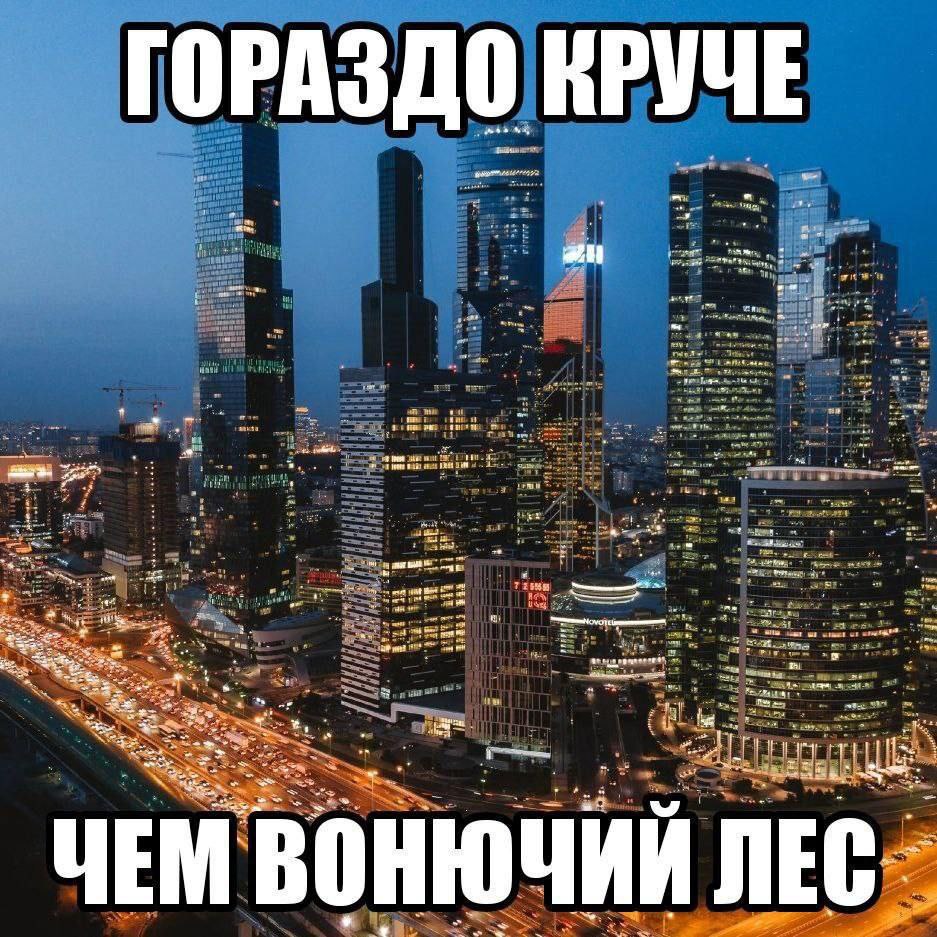 ГОРАЗДО КРУЧЕ tim ЧЕМ ВОНЮЧИЙ ЛЕС.