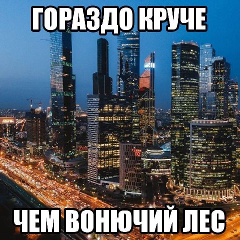ГОРАЗДО КРУЧЕ tim ЧЕМ ВОНЮЧИЙ ЛЕС.