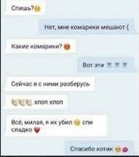 Слишь? Нет, мне комарики мешают Какие Вот эти Сейчас я с ними разберусь Hoe, милая, в убил спи сладко Спасиба котик