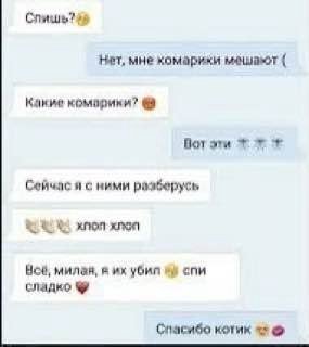 Слишь? Нет, мне комарики мешают Какие Вот эти Сейчас я с ними разберусь Hoe, милая, в убил спи сладко Спасиба котик