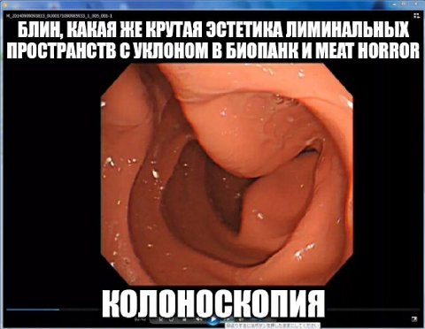 БЛИН, КАКАЯ HE КРУТАЯ ЭСТЕТИКА ЛИМИНАЛЬНЫХ ПРОСТРАНСТВ С УКЛОНОМ В БИОПАНИ И MEAT HORROR колоноскопия