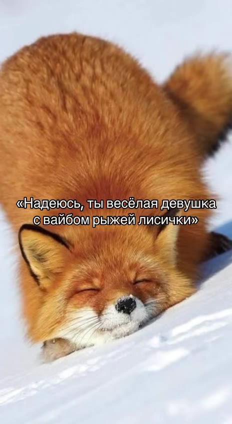 Мечта