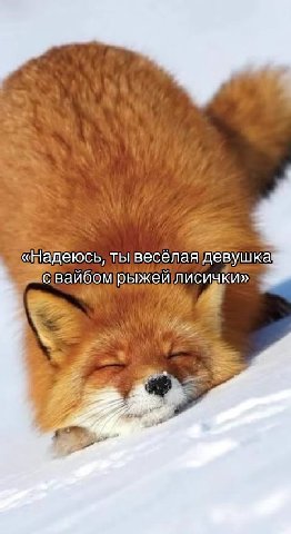 Мечта